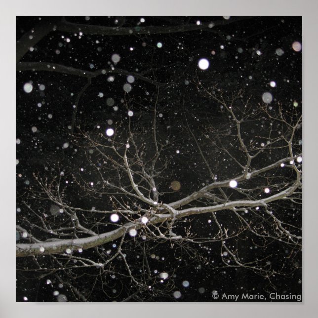 Schnee in der Nacht Poster (Vorne)