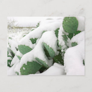 Schnee in der Wüste Postkarte