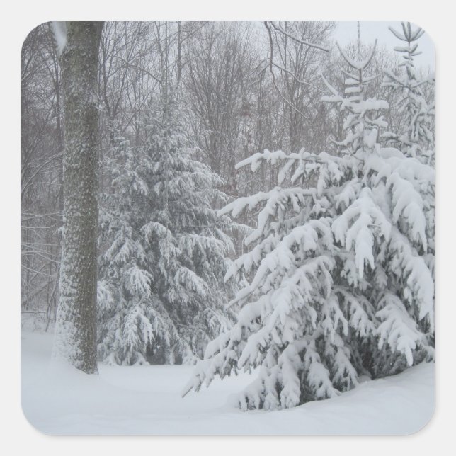 Schnee in New England Sticker (Vorderseite)