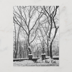 Schnee in New York Postkarte