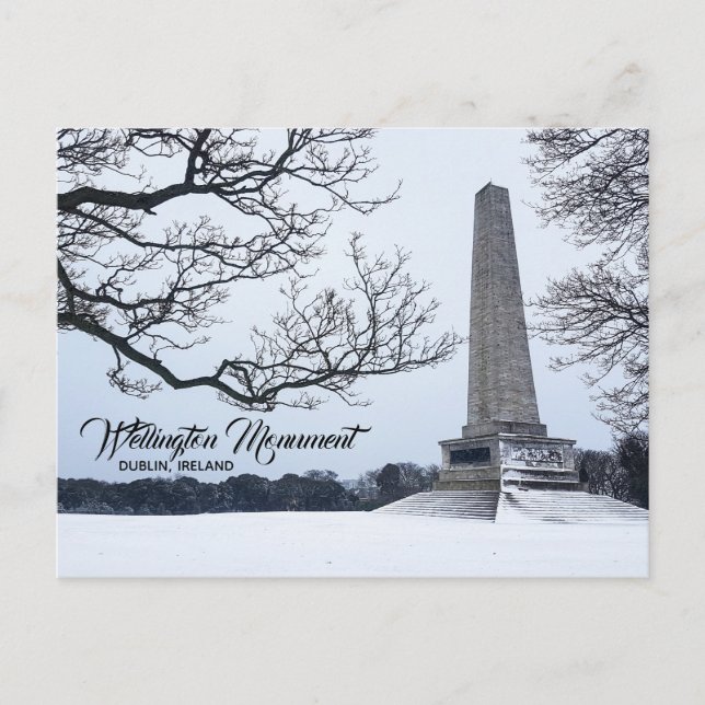 Schnee in Phoenix Park, Dublin, Irland Postkarte (Vorderseite)