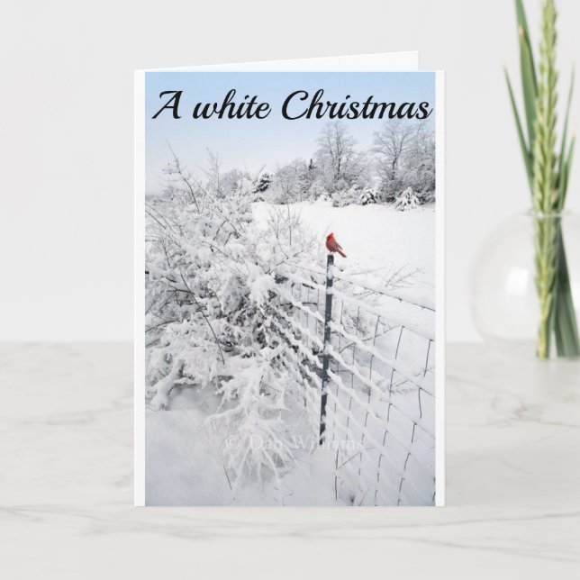 SCHNEE IST SO SCHÖN HOFFNUNG, DASS IHRE CHRISTMAS  KARTE (Vorderseite)