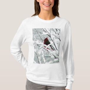 Schnee-Kardinals-T - Shirt