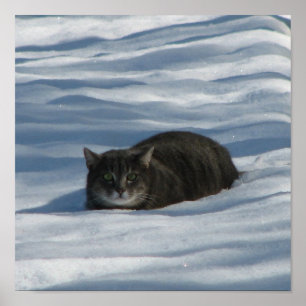 SCHNEE KATZE POSTER
