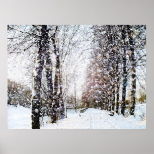 Schnee-Landschaftsplakat Poster