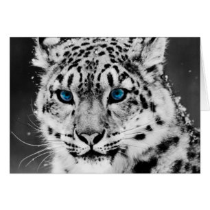 Schnee-Leopard