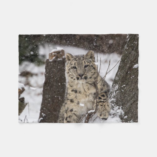 Schnee-Leopard CUB Fleecedecke (Vorderseite (Horizontal))