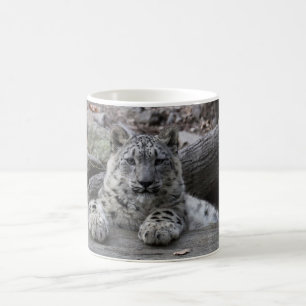 Schnee-Leopard-CUB-Sitzen Kaffeetasse