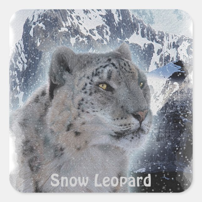 SCHNEE LEOPARD gefährdete Arten von Big Cat Quadratischer Aufkleber (Vorderseite)