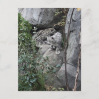 Schnee-Leopard-Hubs an der Kante