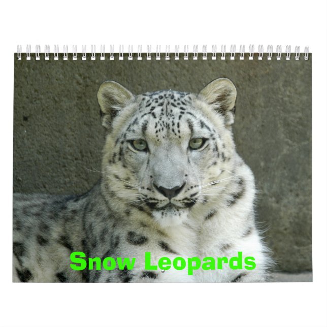 Schnee-Leopard-Kalender, Schnee-Leoparden Kalender (Titelbild)
