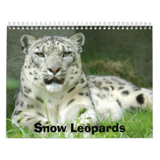 Schnee-Leopard-Kalender, Schnee-Leoparden Kalender