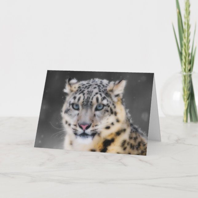 Schnee-Leopard Karte (Vorderseite)