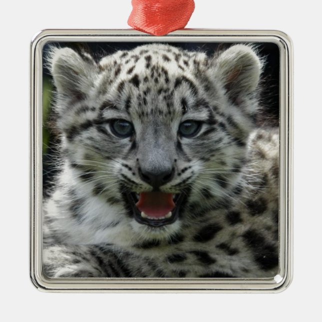 Schnee-Leopard-Kätzchen Silbernes Ornament (Vorne)
