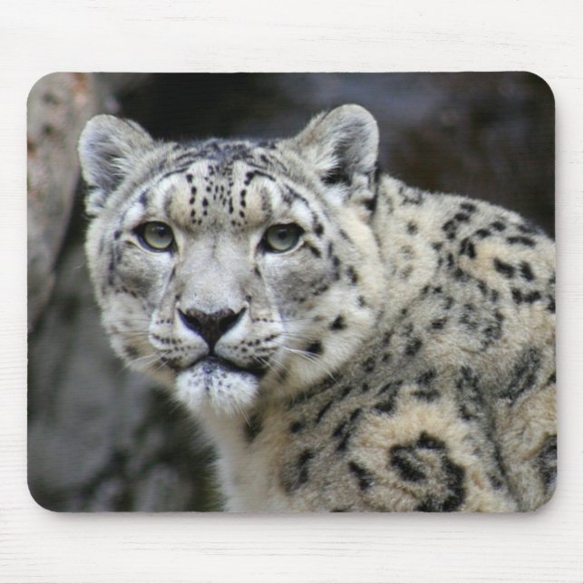 Schnee-Leopard-Mausunterlage Mousepad (Vorne)