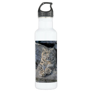 Schnee-Leopard nach Augen Edelstahlflasche