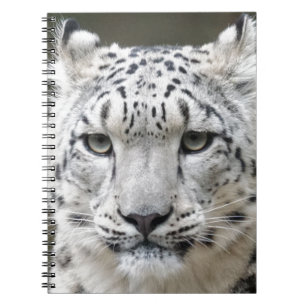 Schnee-Leopard Notizblock