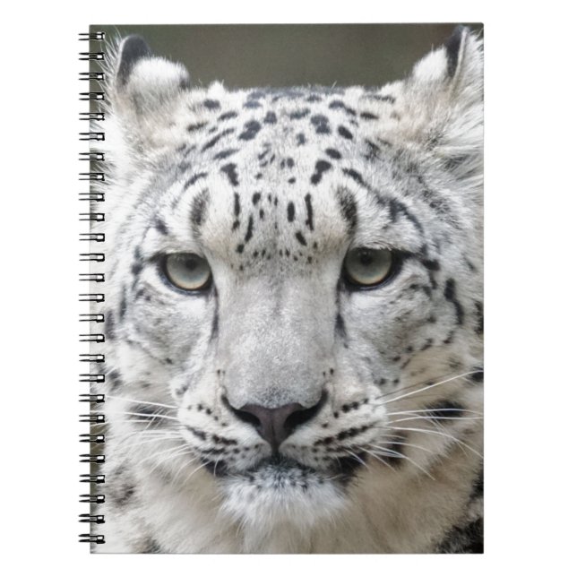 Schnee-Leopard Notizblock (Vorderseite)