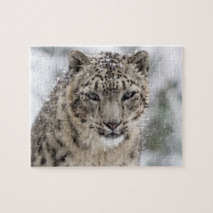 Schnee-Leopard-Porträt in Schnee 3 Puzzle