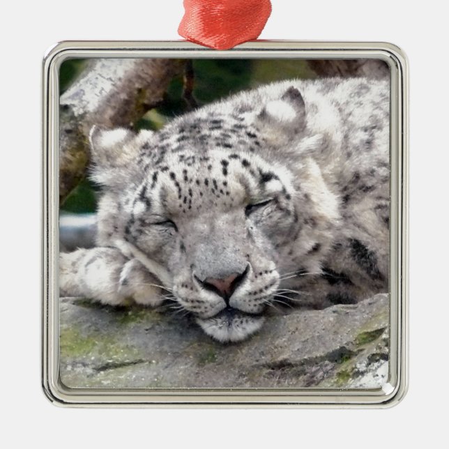 Schnee Leopard - schön! Ornament Aus Metall (Vorne)