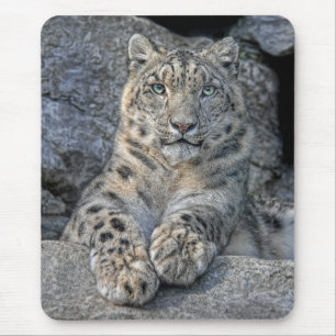 Schnee-Leopard-Schönheit Mousepad