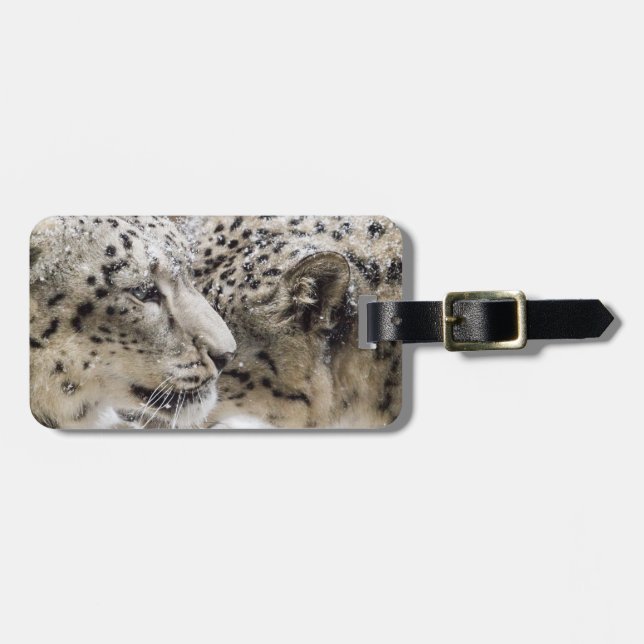 Schnee-Leopard-Umarmung Gepäckanhänger (Vorderseite horizontal)