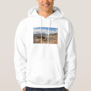 Schnee-Mit einer Kappe bedeckte Berge Hoodie