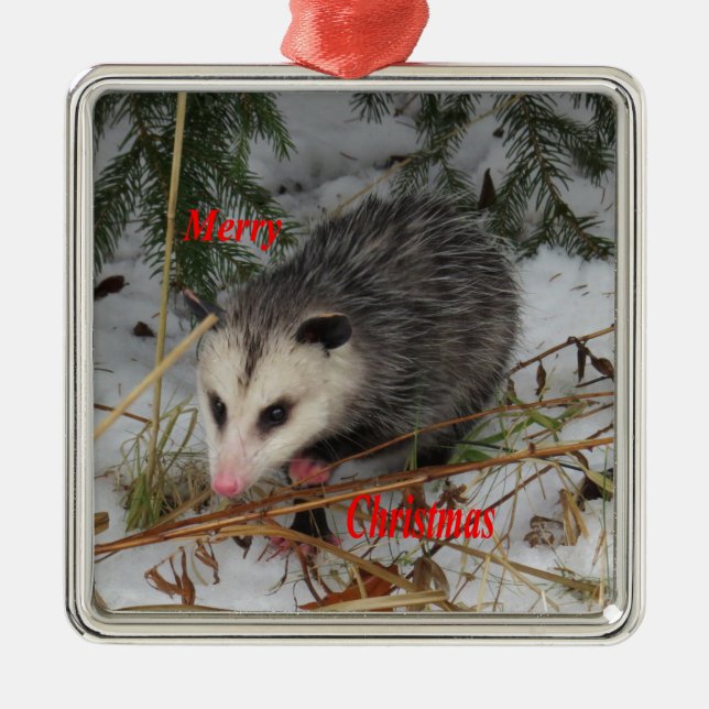 Schnee-Opossum Ornament Aus Metall (Vorne)
