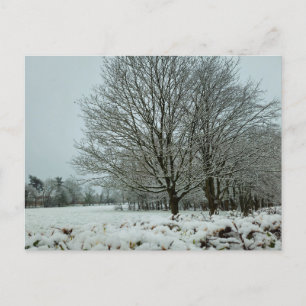 Schnee Postkarte