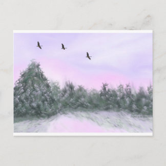 Schnee Postkarte
