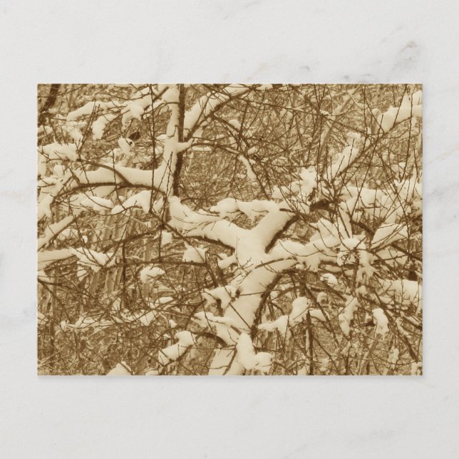 Schnee-Postkarte Postkarte (Vorderseite)