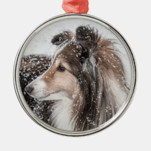 Schnee Sheltie Weihnachtsverzierung Silbernes Ornament