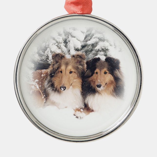 Schnee Shelties Silbernes Ornament (Vorne)