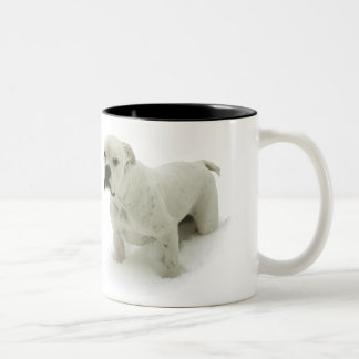 Schnee-Stier-Tasse Zweifarbige Tasse