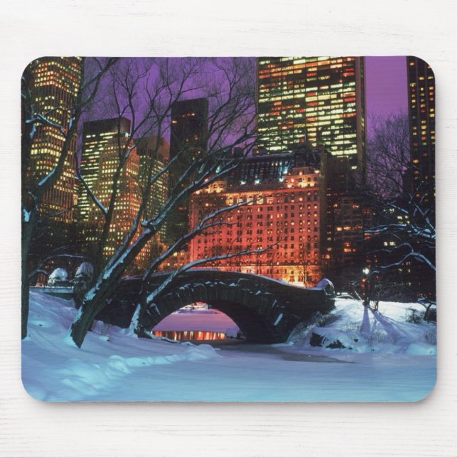 Schnee-Szene in der Central Park-Mausunterlage Mousepad (Vorne)
