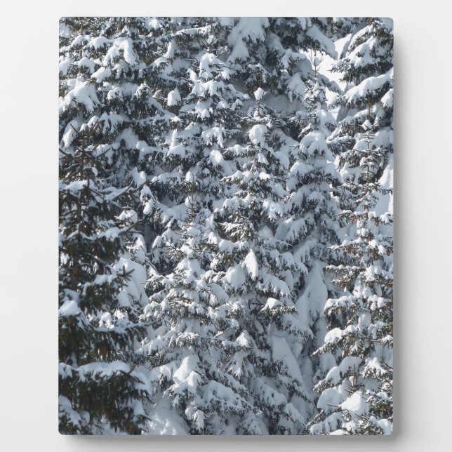 Schnee Tannenbaum Textur Fotoplatte (Vorderseite)