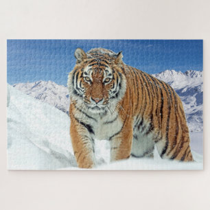 Schnee-Tiger-Gebirge Tierschutz-Foto Puzzle