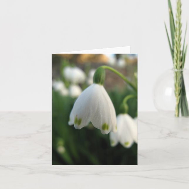 Schnee-Tropfen-Blumen-Anmerkungskarte Karte (Vorderseite)