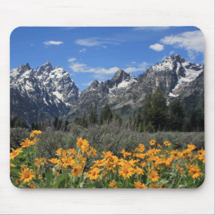 Schnee umfaßte großartige Teton Strecke mit gelb Mousepad