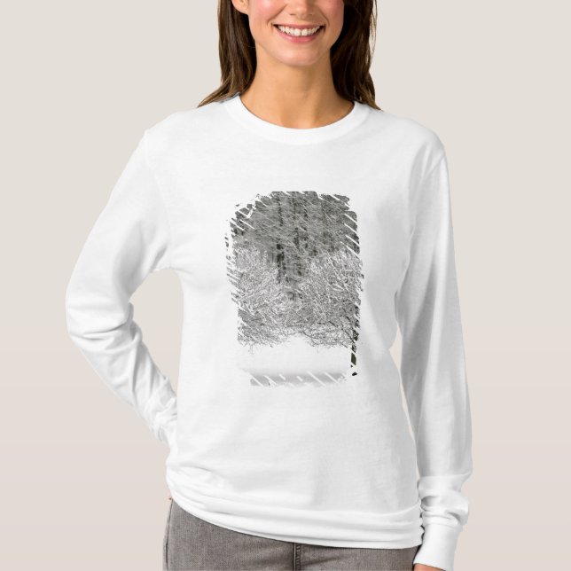 Schnee umfaßte Landschaft T-Shirt (Vorderseite)