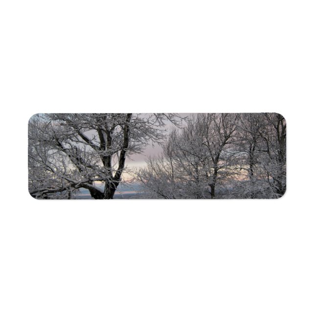 Schnee umfaßte Niederlassungen (Vorne)