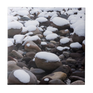 Schnee und Felsen, Nationalpark Rainier Fliese