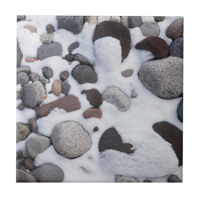 Schnee und Felsen, Rainier-Nationalpark 2 Fliese (Vorderseite)