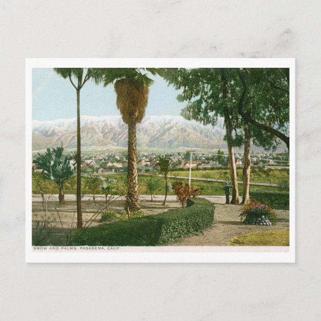 Schnee und Palmen, Pasadena CA Vintag Postkarte (Vorderseite)