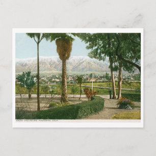 Schnee und Palmen, Pasadena CA Vintage Postkarte