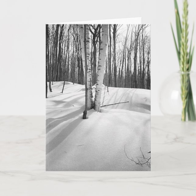 Schnee und weiße Birken Karte (Vorderseite)