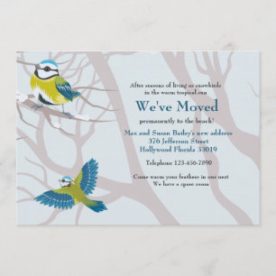 Schnee-Vögel, die Mitteilung bewegen Ankündigung