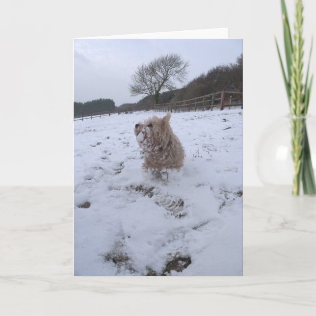 Schnee Westie Feiertagskarte (Vorderseite)