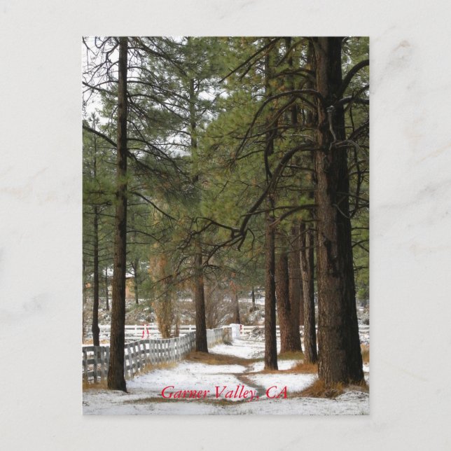 Schnee zu Weihnachten Postkarte (Vorderseite)