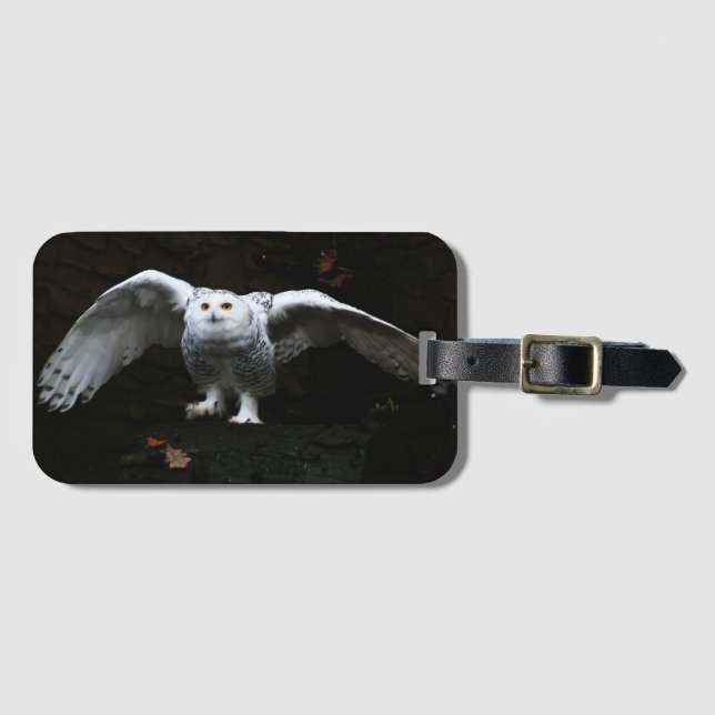 Schneeauge mit offenen Flügeln bc ltcnm Gepäckanhänger (Vorderseite (Horizontal))